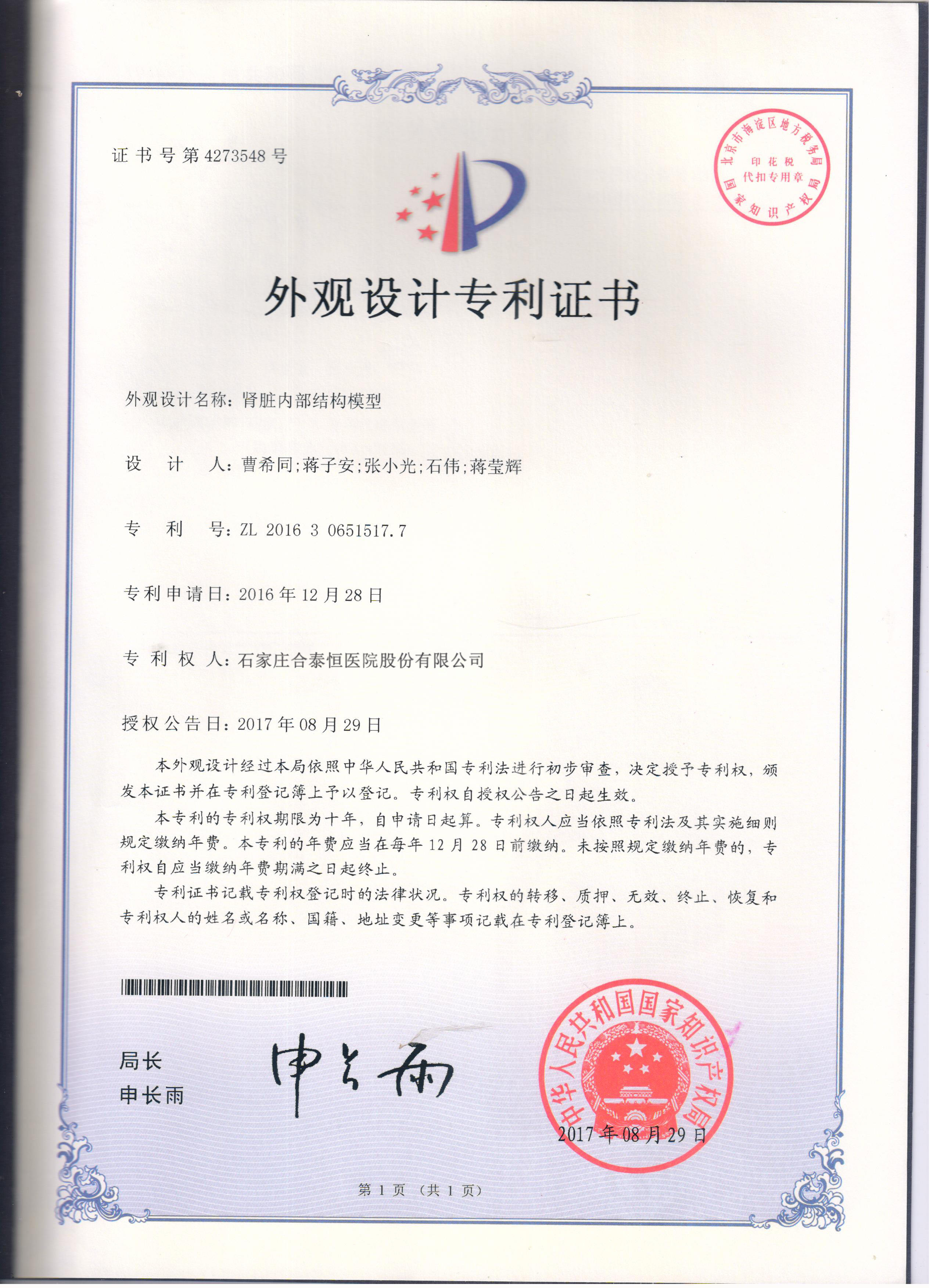 肾脏内部结构模型