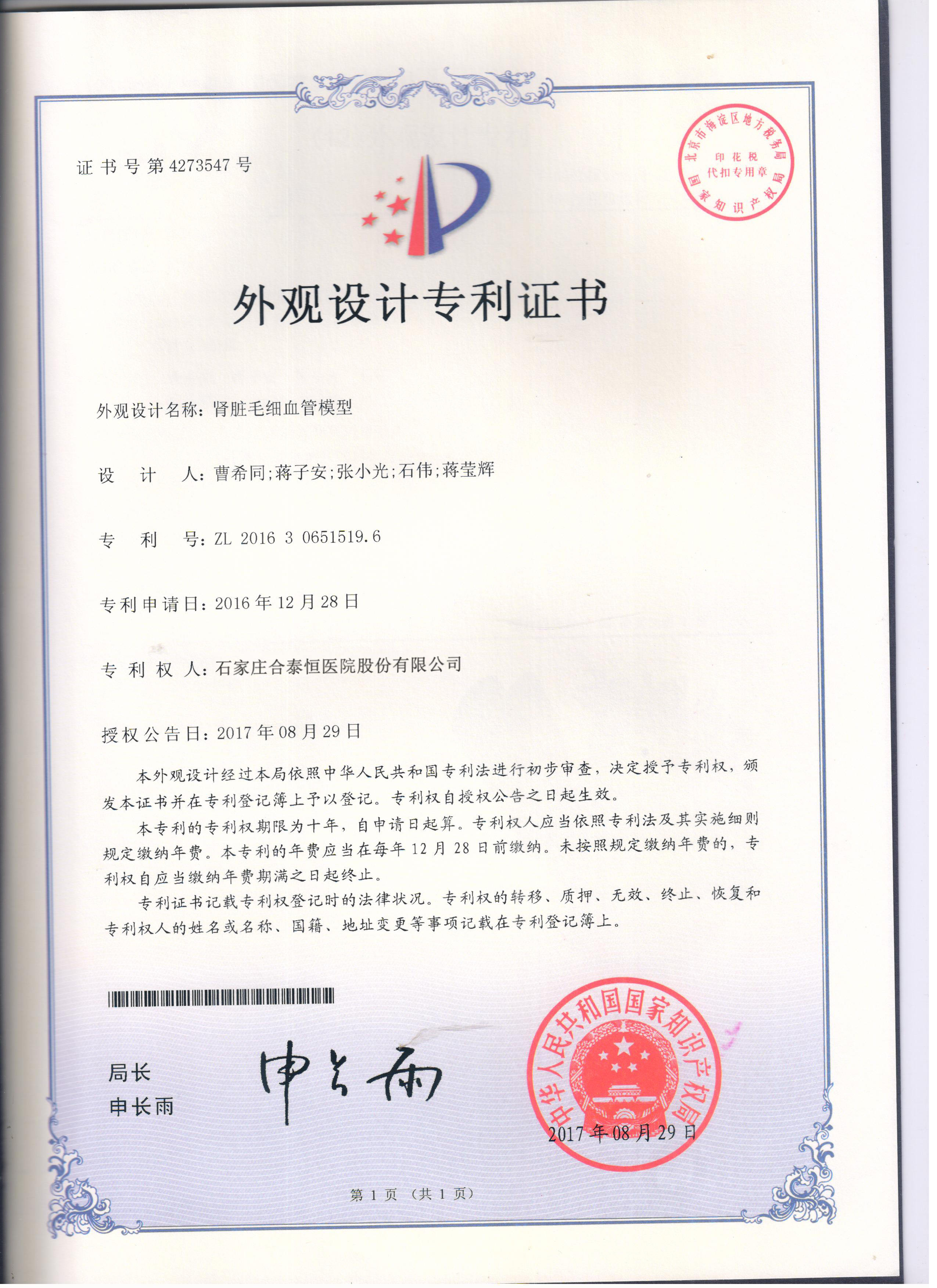 肾脏毛细血管模型