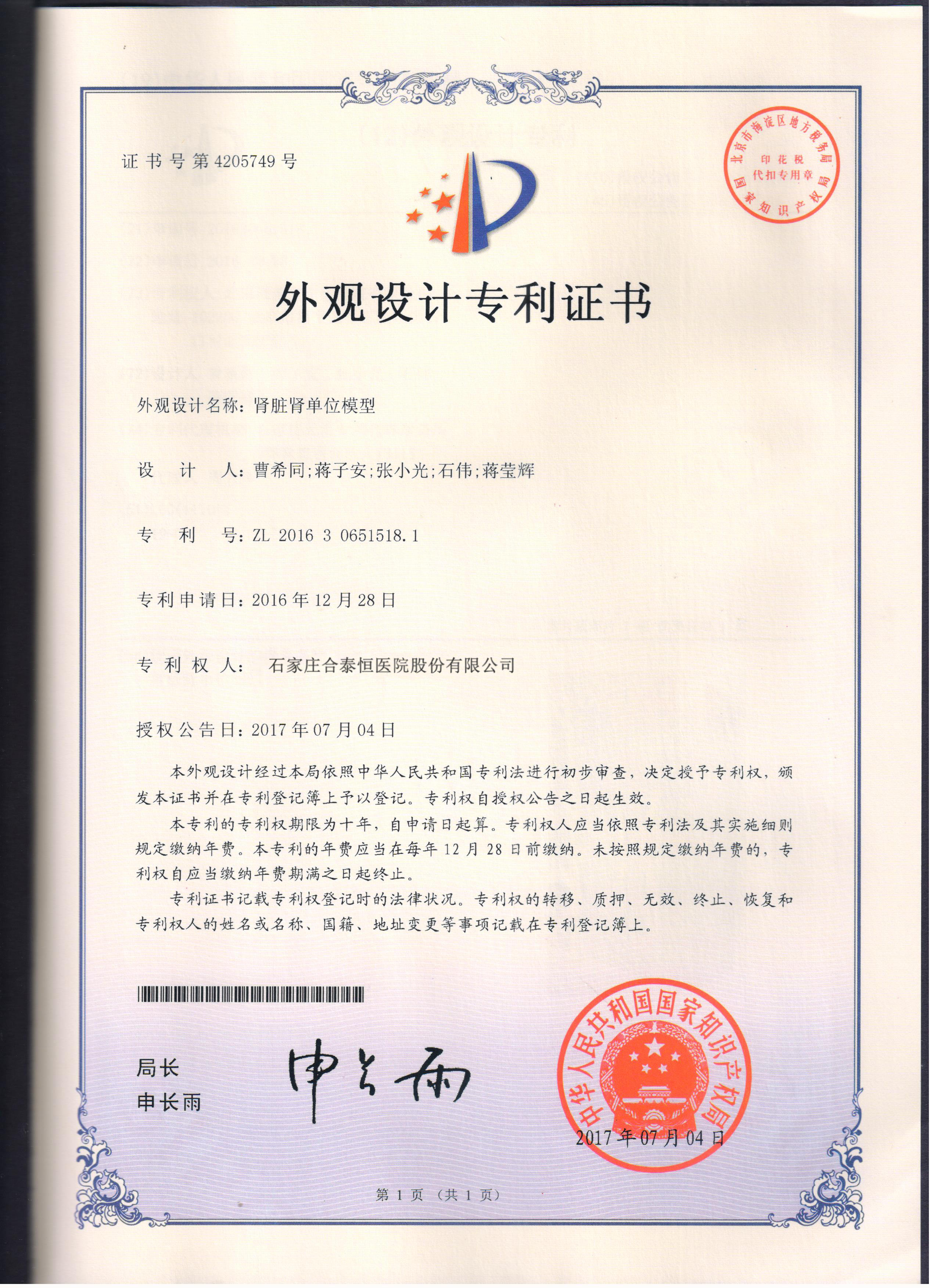 肾脏肾单位模型